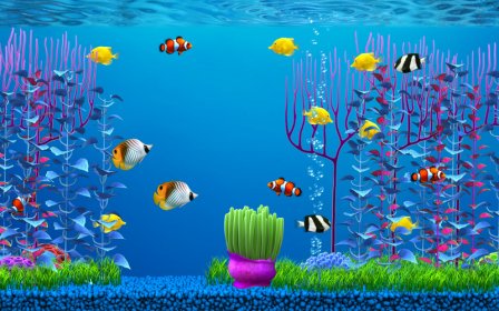 Aquarium download free screensaver